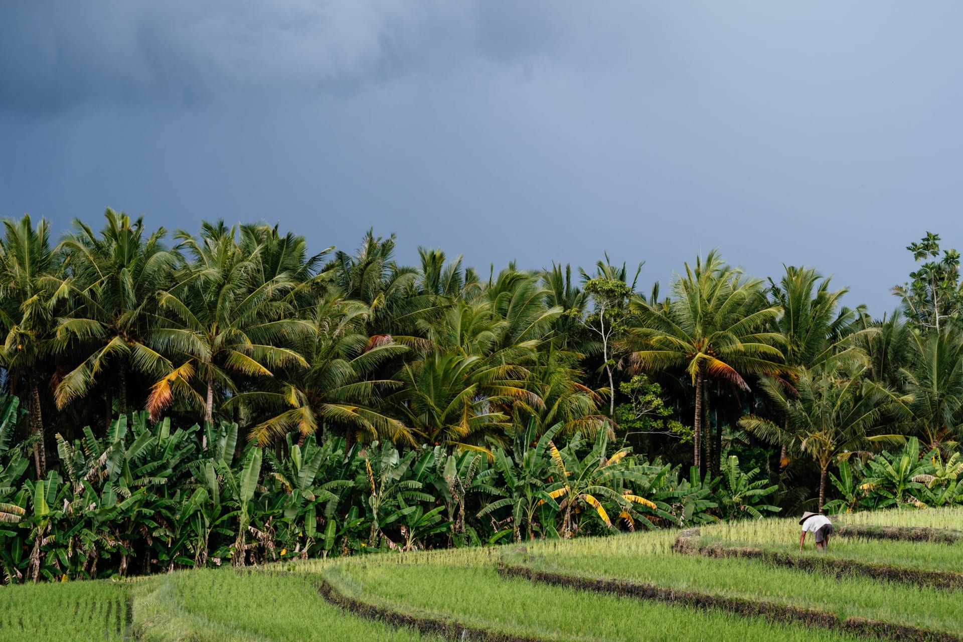 Indonesia — photo 15