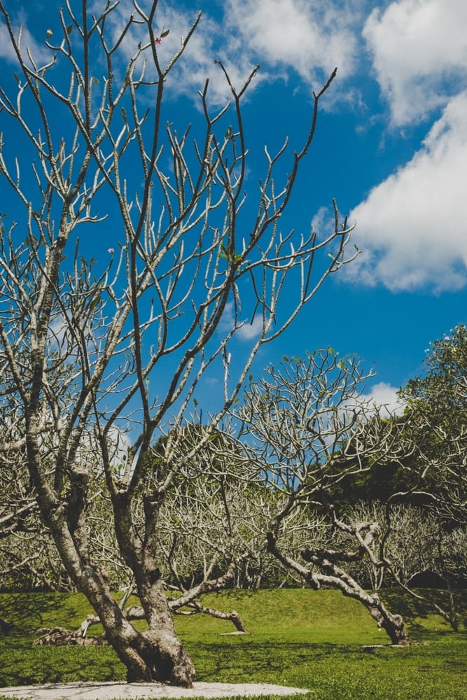 Singapore — photo 6