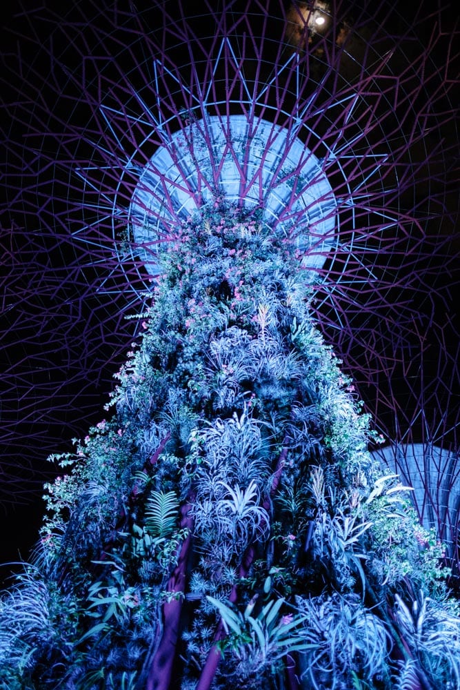 Singapore — photo 3