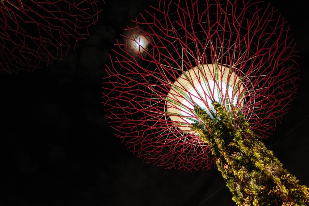 Singapore — photo 4