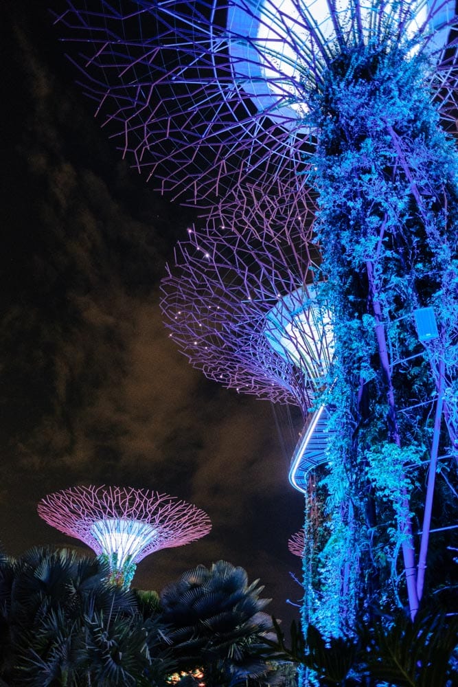 Singapore — photo 5