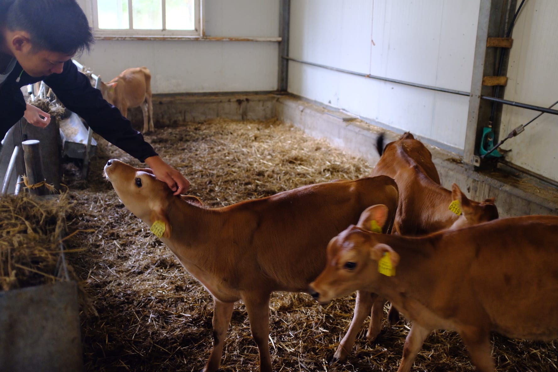 Our New Zealand Friend