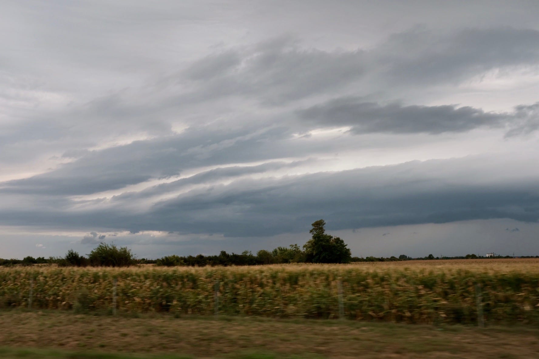 Reminds me of Indiana. Corn and all.