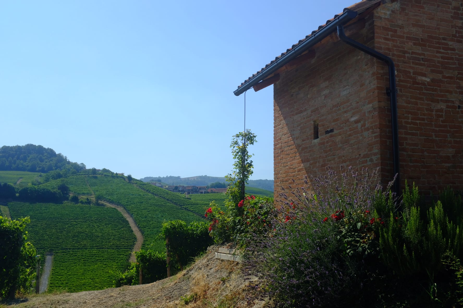 Barolo Vineyards Shed
