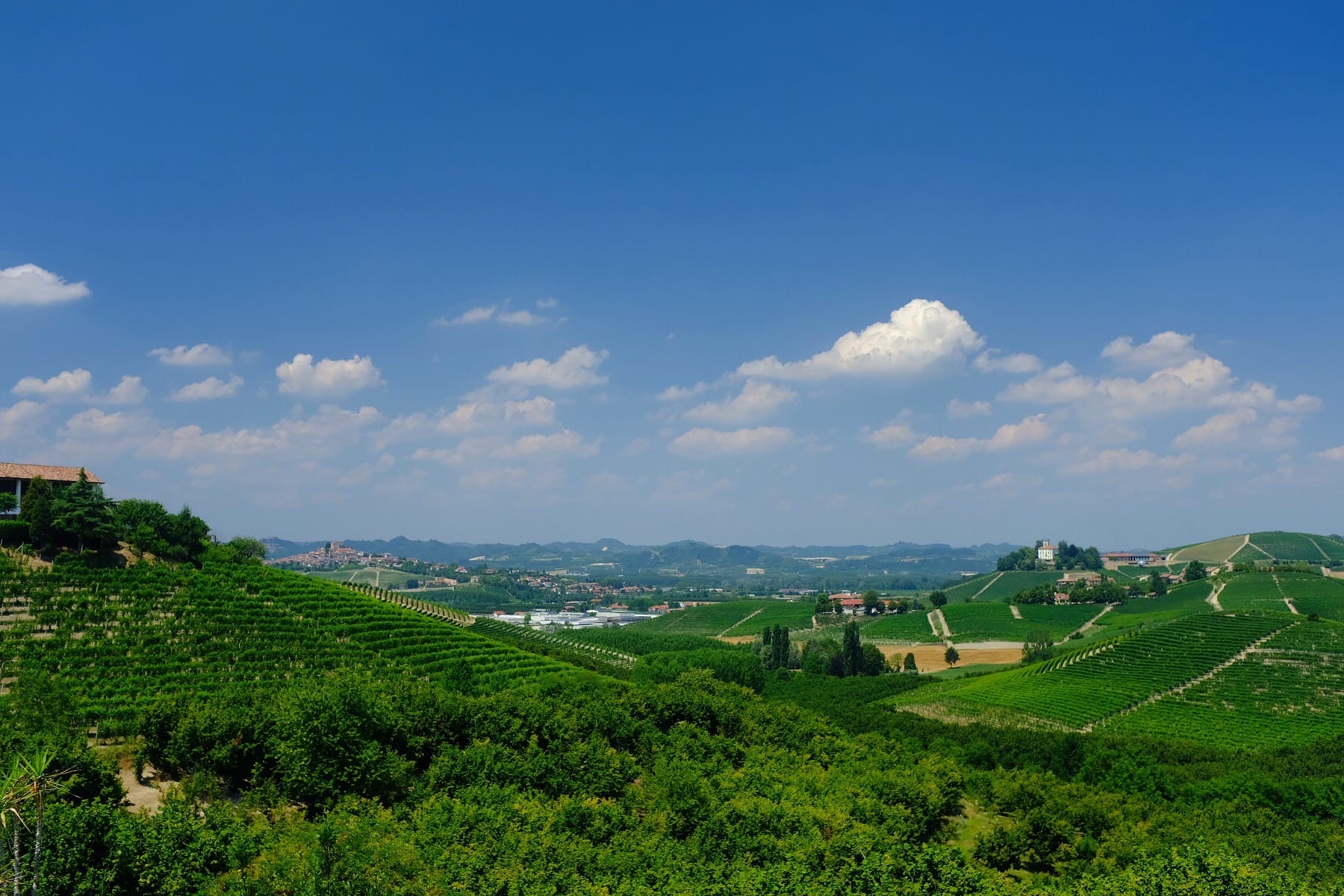 Grinzane Cavour View