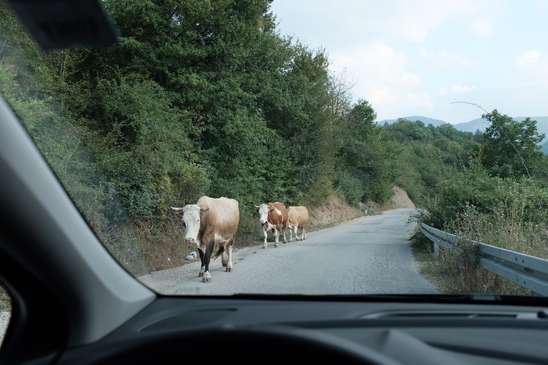 A rather tame road, but one commonly shared