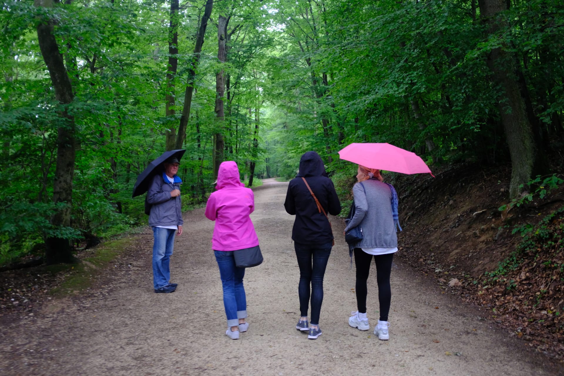 Hamilton Crew – Black Black Pink Pink