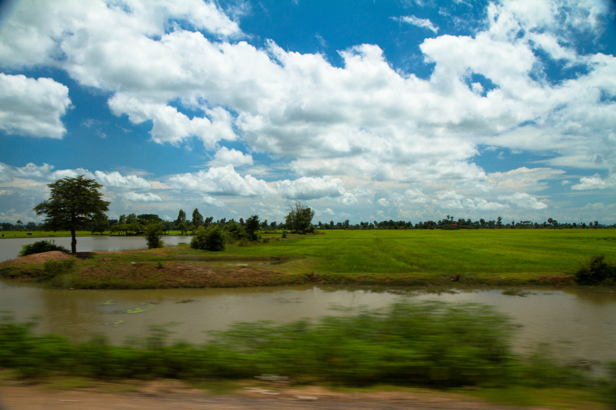 Cambodia – Day Three – Let’s Play Chicken